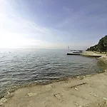 Roko * 佩特坎内