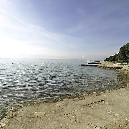 Roko * Петрчане